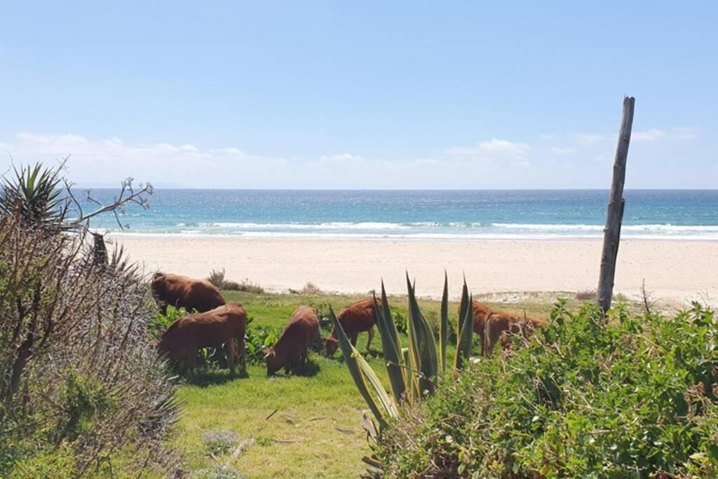 Bolonia Beach Campus Tarifa Exterior photo